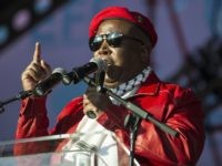 Julius Malema (Mujahid Safodien / AFP / Getty)