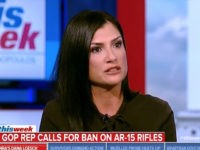 NRA’s Loesch on FL Shooting: Blame Broward County Sheriff’s ‘Abdication of Duty,’ Not Gun Owners