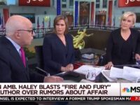 Mika Brzezinski Abruptly Cuts Off Michael Wolff on Nikki Haley Rumors for ‘Slurring A Woman’: ‘We’re Done’