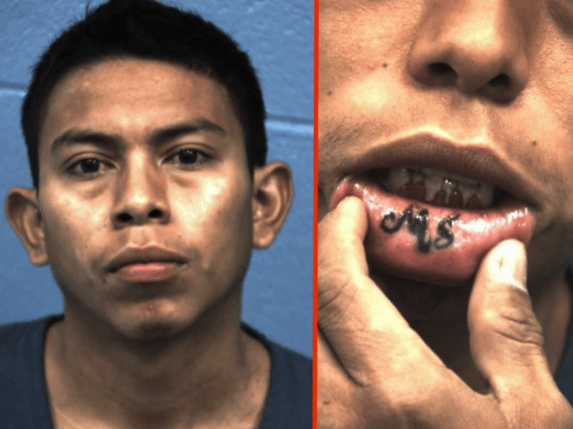 U S Marshals Arrest Two Ms 13 Gang Members Charged With Attempted Murder