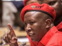 Julius Malema (Gianluigi Guercia / AFP / Getty)