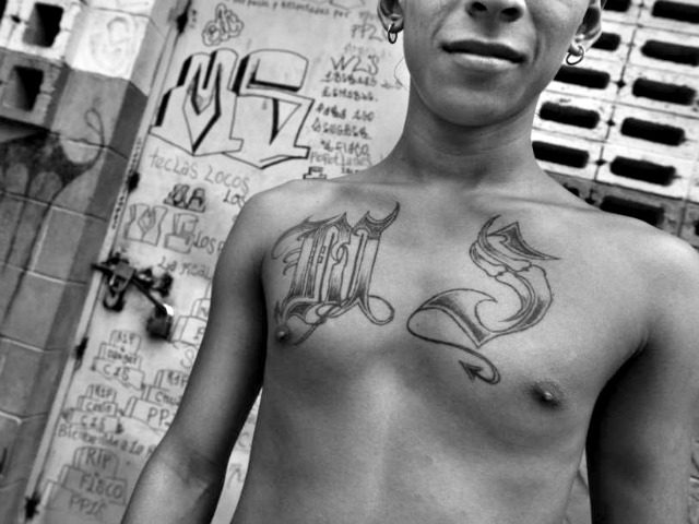 MS-13 Gang Member