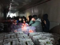 Illegal Immigrants being smuggled in a tractor-trailer - CBP Photo