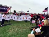 Pro-Wall Rally