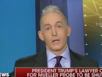 Trey Gowdy