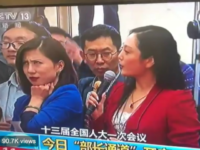 On the sidelines of the country's annual parliament session, a Chinese journalist on Tuesday morning showed her contempt for a fellow reporter's softball question with such force that videos of her facial expression went viral.