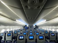 A black French bulldog in a pet carrier died after it was put in an overhead locker on a United Airlines flight from Houston to New York A black French bulldog in a pet carrier died after it was put in an overhead locker on a United Airlines flight from Houston to New York