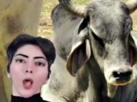 Nasim Aghdam