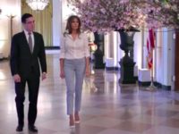 Melania State Dinner Video