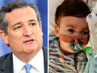 Ted Cruz, alfie-evans