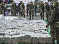 Drug cartel bust Ernesto BenavidesAFPGetty Images Drug cartel bust
