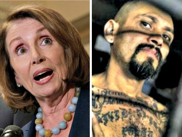 Pelosi, MS 13