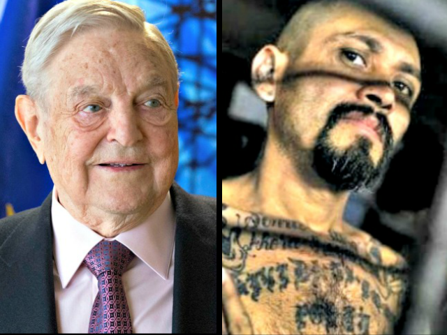 Soros-Linked Group: Trump Is ‘Racist’ for Calling MS-13 Gang ‘Animals’