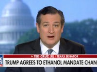 Ted Cruz: ‘Most of the Media’ Has ‘Trump Derangement Syndrome’
