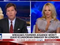 Tuesday on Fox News Channel's "Tucker Carlson Tonight," former "Baywatch" … Tuesday on Fox News Channel's "Tucker Carlson Tonight," former "Baywatch" …