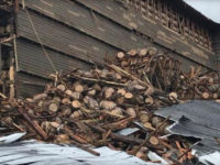 Distillery Warehouse Collapse Causes 9,000 Bourbon Barrels to Crash