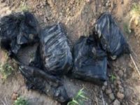 Bundles of marijuana Bundles of marijuana seized near border.