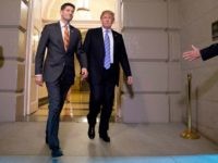 GettyImages-978857466 Amnesty