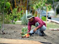 AG Sessions Punishes Landscaping Co. for Anti-American Discrimination