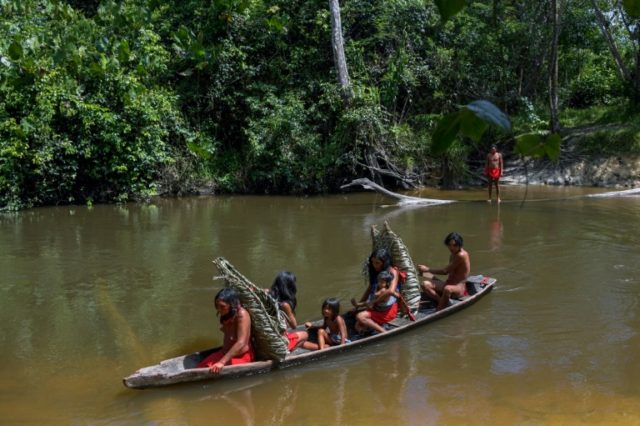 Indigenous Peoples Guardians Of Nature Under Siege Breitbart