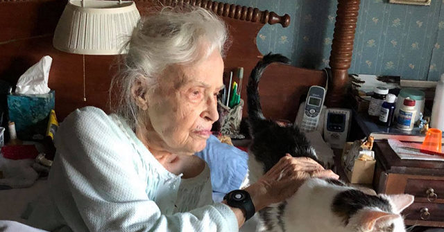 PHOTO: 101-Year-Old Woman Adopts Oldest Cat in Shelter 1 PHOTO: 101-Year-Old Woman Adopts Oldest Cat in Shelter