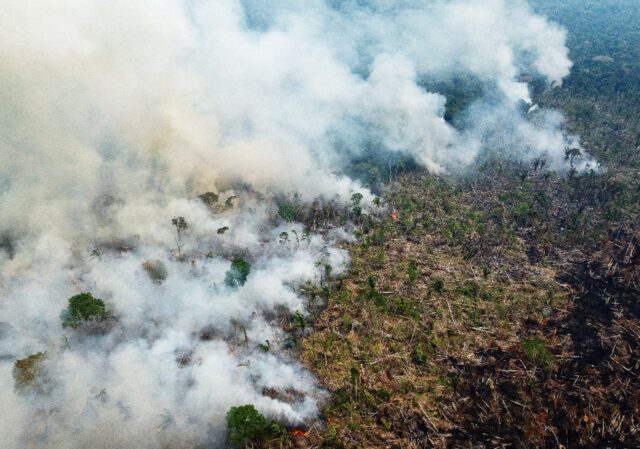 Rainforest Giants Brazil Indonesia Dr Congo Sign Deforestation Pact