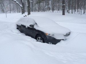Blizzard '15 Car