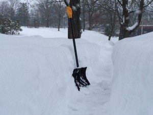 Blizzard '15 Shovel