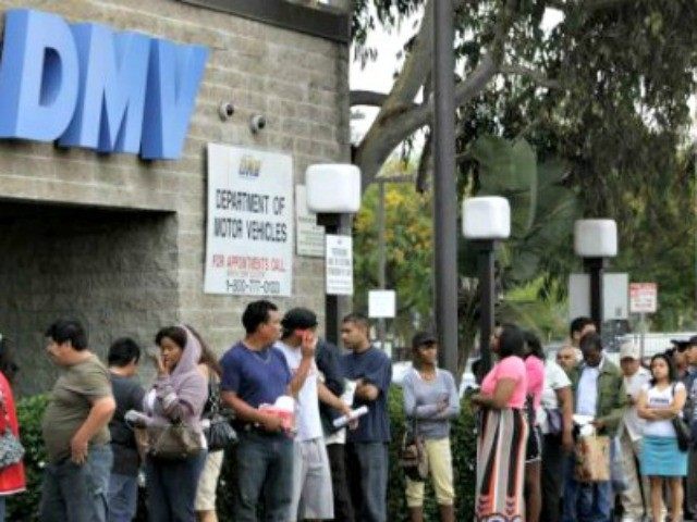 Many illegal immigrants at a Northern California DMV reportedly were …