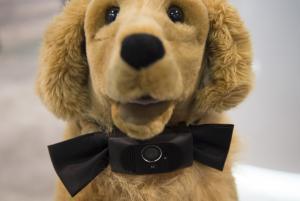 Bow-WOW! 'Smart collar' for dogs beams video to owners' phones