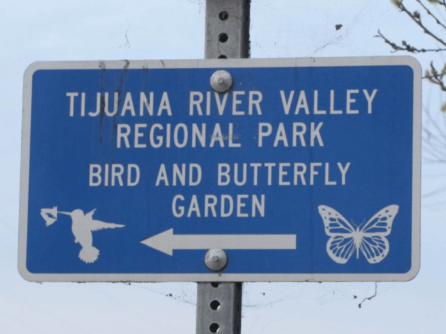 Butterfly Garden (Michelle Moons / Breitbart News)