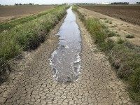 Drought farm (Jae C. Hong / Associated Press) Drought farm (Jae C. Hong / Associated Press)