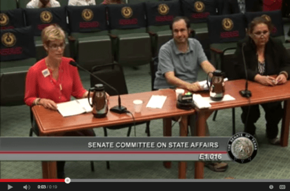 Kelly Burke Testifying at Senate Committee