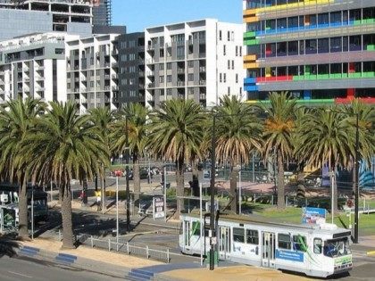 Melbourne Trees