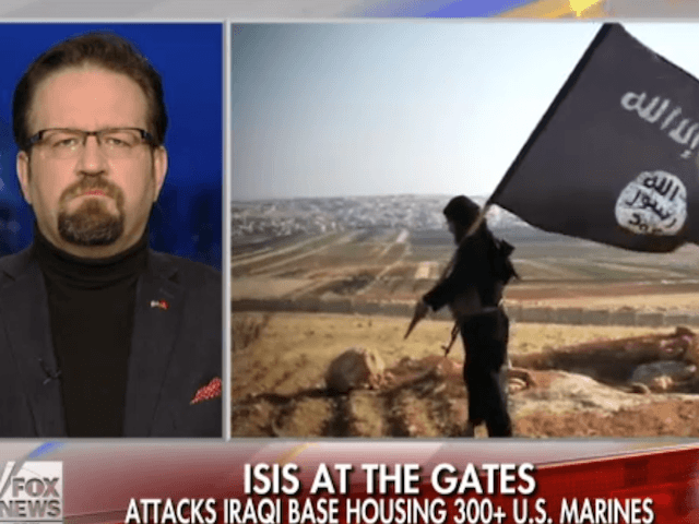 Dr. Gorka on Fox & Friends 2/15