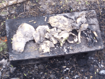 Cartel Victims' Bones