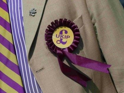 UKIP-Rosette