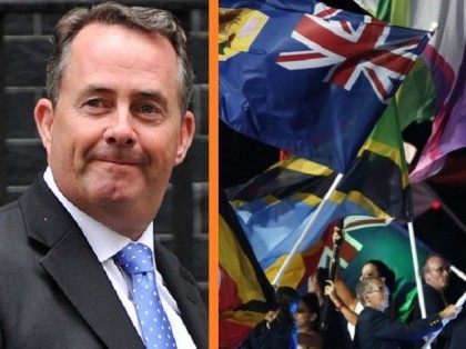 Dr Fox Commonwealth AFP Reuters