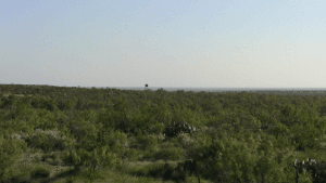 Texas Border Between Eagle Pass and Laredo/Border Patrol Observation Post
