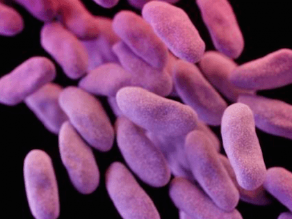 CRE Superbug (Reuters)