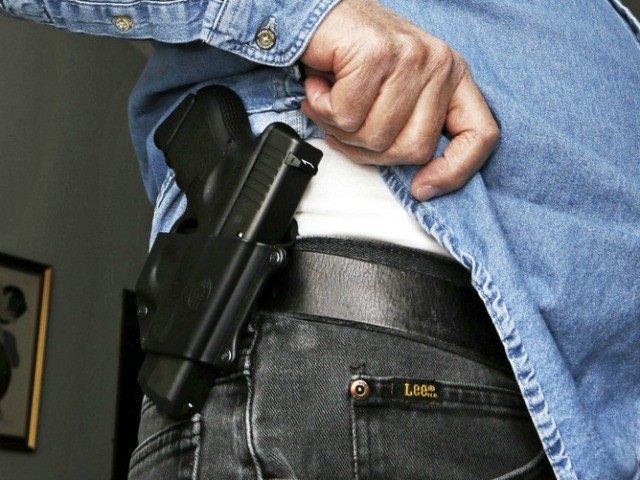 Image result for ccw permit holder