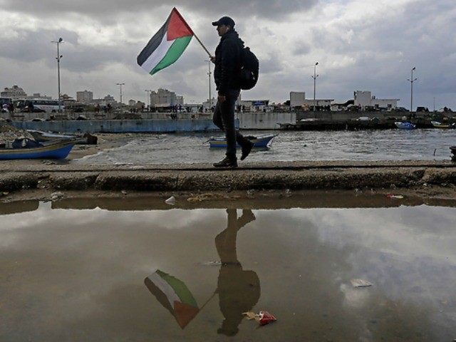 palestine-flag-AP