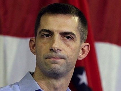 tomcotton