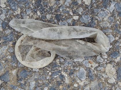Used Condom (Michael Coghlan / Flickr / CC)