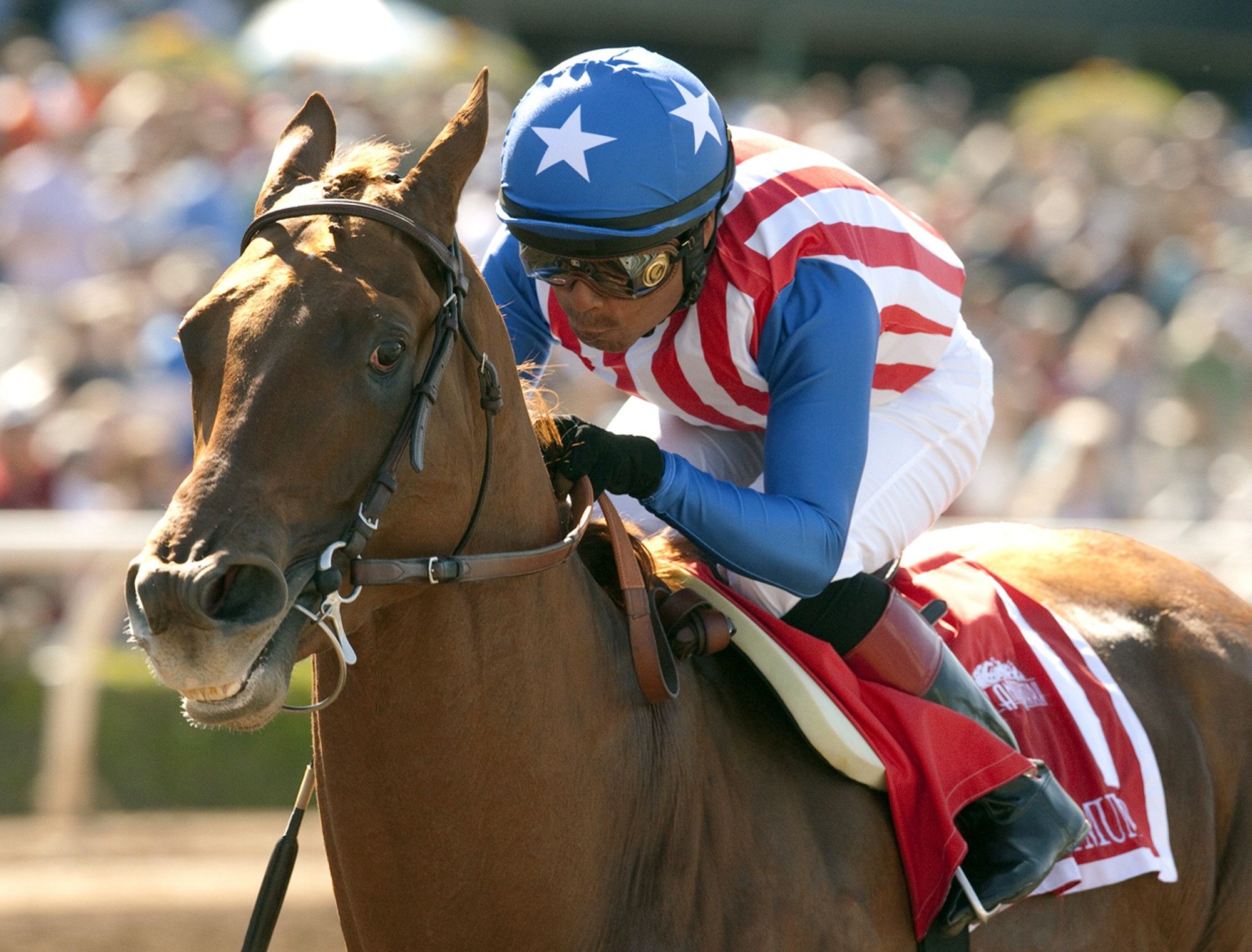 Kentucky Derby Odds, Post Positions