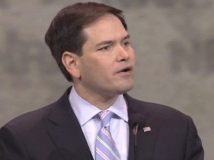 rubio