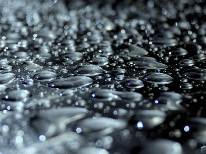 After the Rain (Oleg / Flickr / CC : Cropped)