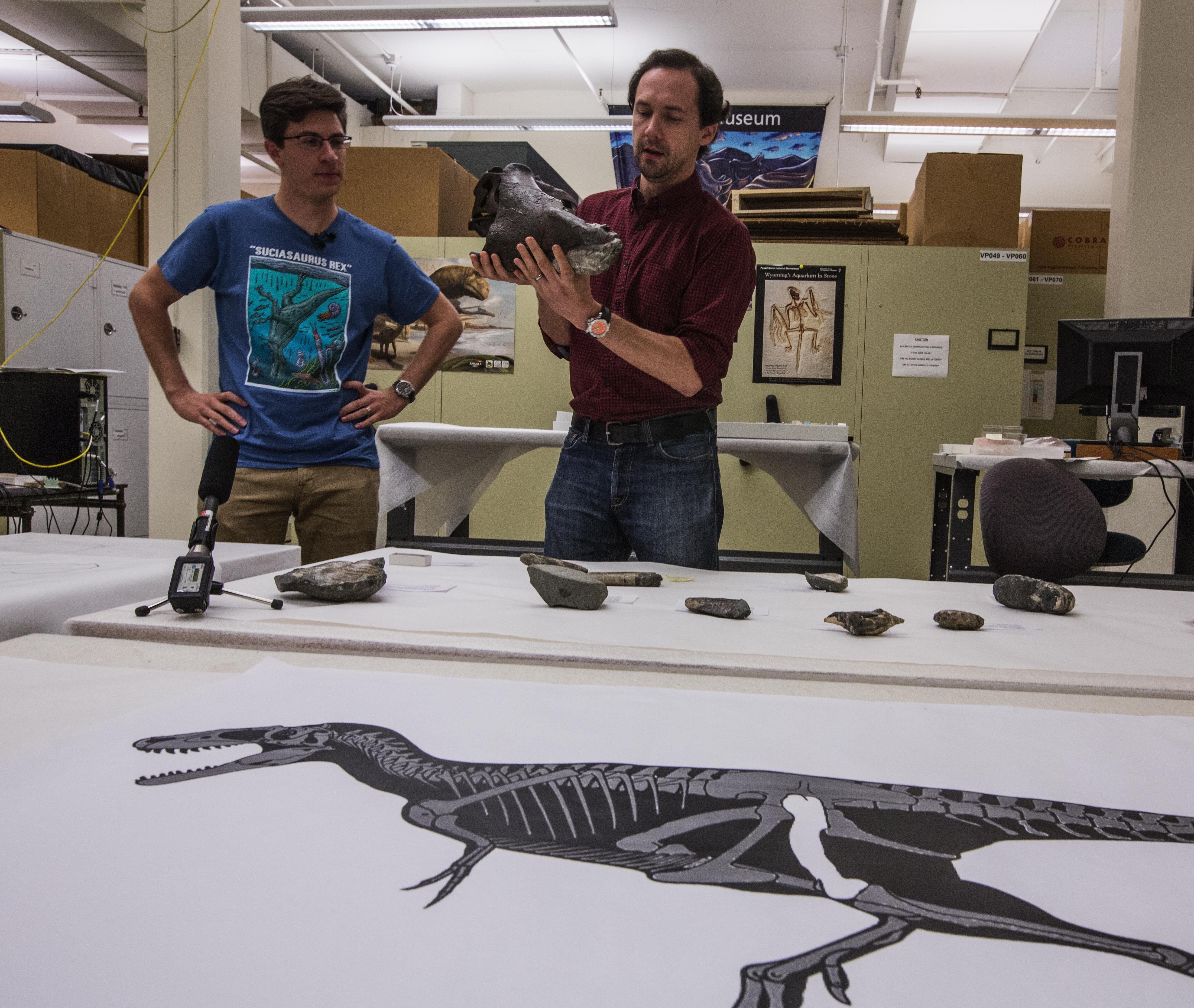 Scientists reveal Washington state's first dinosaur - Breitbart