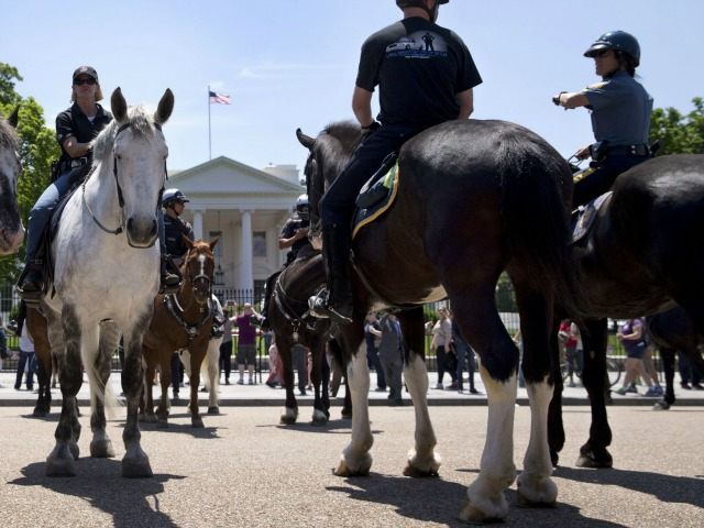 Mounted members of law enforcement gather in front of the White House in Washington, Thurs