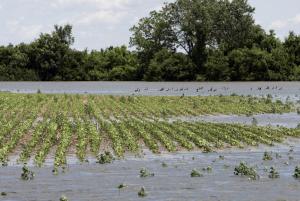 TransCanada pipeline leak reported in Alberta
